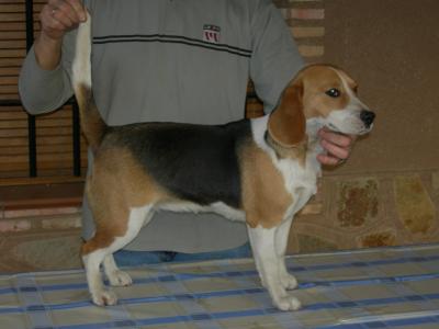 Foto de Blaki